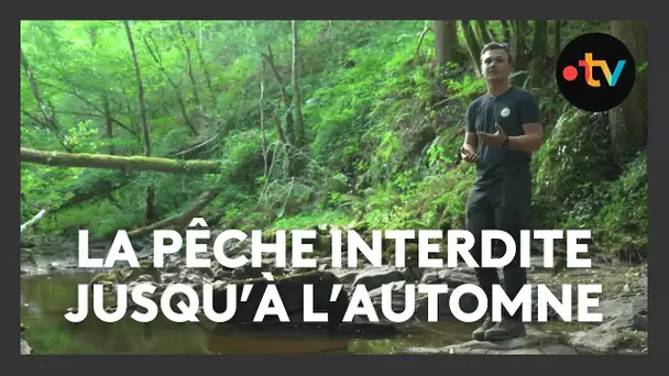 Sécheresse historique dans l’Indre : la pêche interdite jusqu’à l’automne