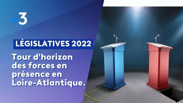 Législatives Loire Atlantique : tour d'horizon des différents candidats