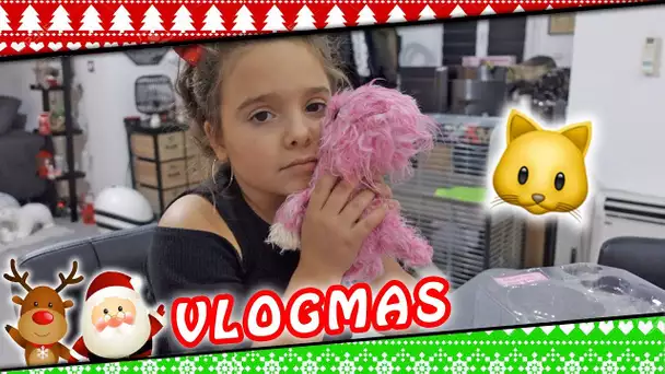 VLOGMAS 18 : On adopte un chat !