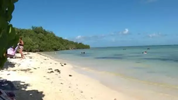 « C'est un coup dur » : la Guadeloupe se reconfine en pleine saison touristique