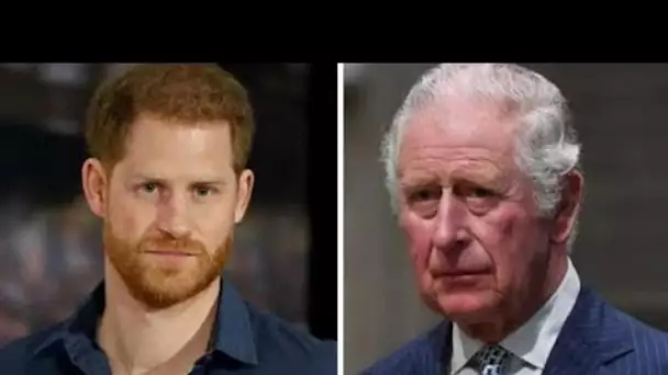 Le prince Harry "incapable d'avoir une image publique positive" sans la famille royale