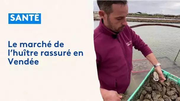 Vendée : "Oui, nos huîtres sont consommables"