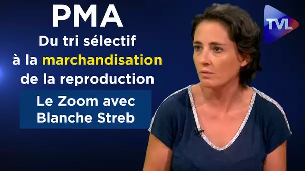 PMA : du tri sélectif à la marchandisation de la reproduction - le Zoom - Blanche Streb