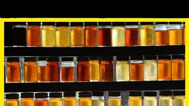 Lequel des différents types de miel est meilleur pour votre santé?