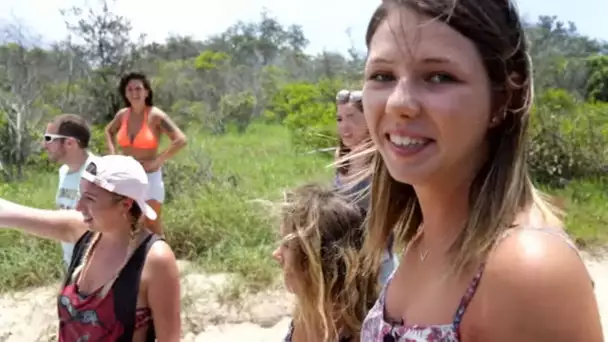 Fraser Island, paradis ou enfer ?