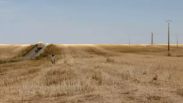 La grâce du sillon [bande annonce documentaire]