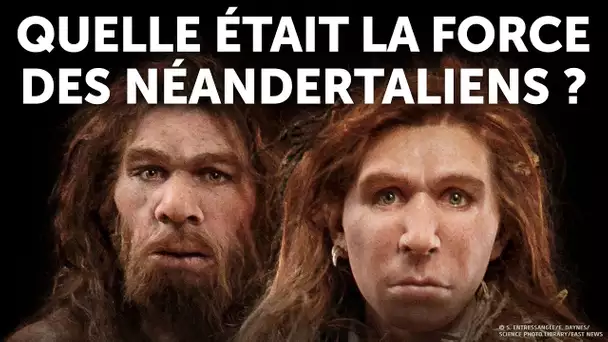 Qui Gagnerait : Humain Contre Néandertalien