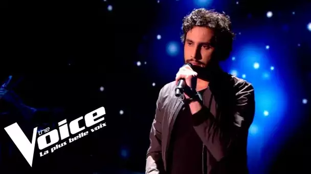 Michel Berger (Message personnel) | Anto | The Voice France 2018 | Auditions Finales