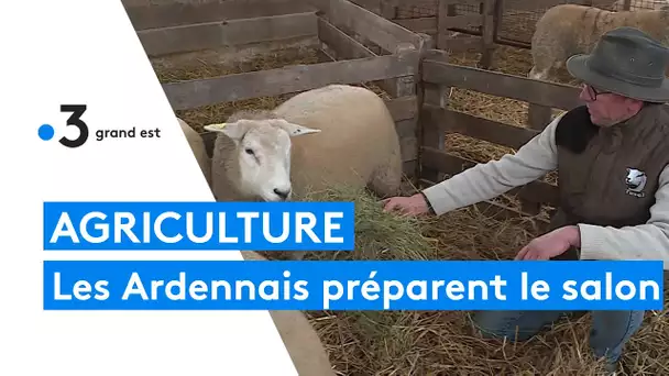 Salon de l'agriculture : les ardennais se préparent pour son retour