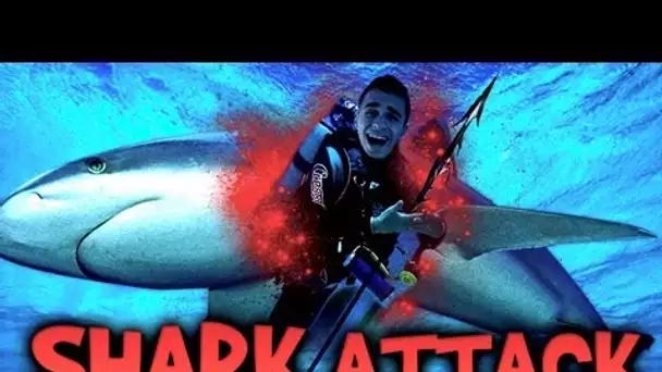 SHARK ATTACK ! - Le Call of Duty : Ghosts des habitants de l'océan !