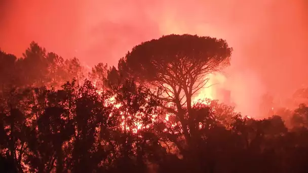 Incendie dans le massif de Maures (Var) : le récit d'une nuit de cauchemar