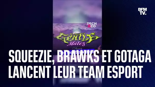 Squeezie, Brawks et Gotaga lancent leur propre structure esport, les Gentle Mates