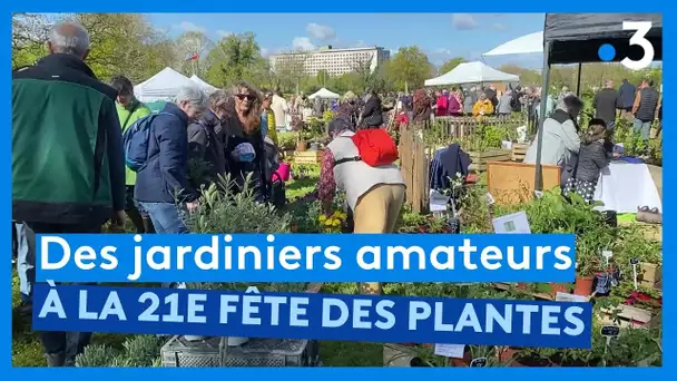 La Roche-sur-Yon : de nombreux jardiniers amateurs à la 21e fête des plantes de l'Asphodèle
