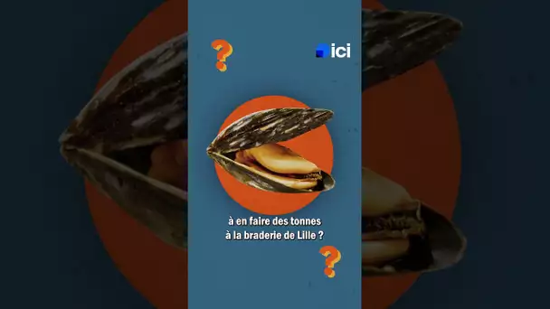 On vous raconte l'histoire de la Braderie de Lille !