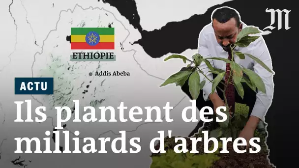 L'Ethiopie plante quatre milliards d’arbres en six mois