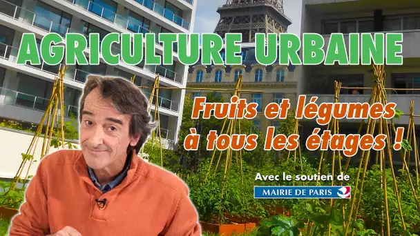 Agriculture urbaine : fruits et légumes à tous les étages !