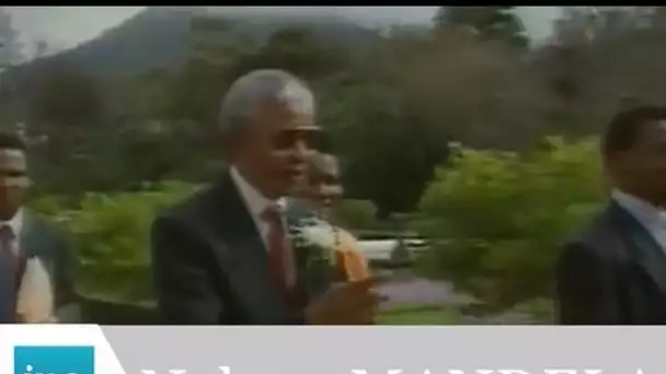 Nelson Mandela 100 jours au pouvoir - Archive vidéo INA