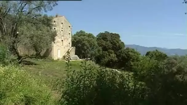 LA MAISON DE NAPOLEON