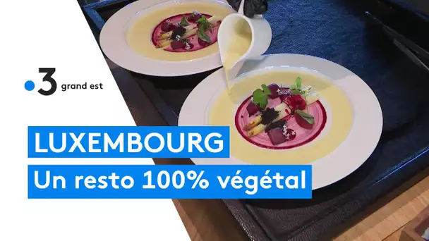 Restaurant 100% végétal au Luxembourg : le château de Bourglinster