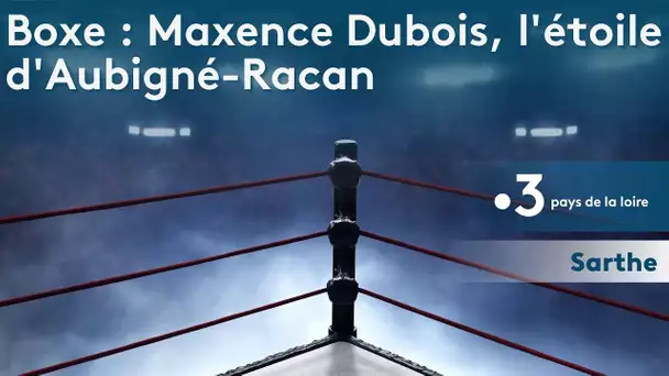Sarthe / boxe : Maxence Dubois, l'étoile d'Aubigné-Racan