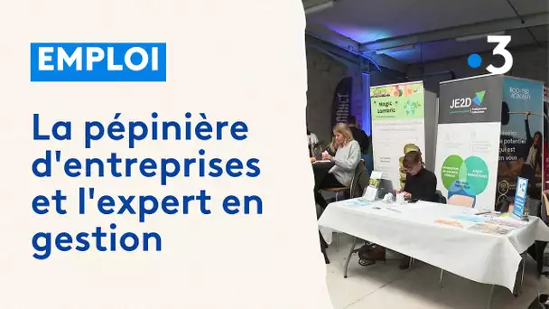 Pour accompagner les entrepreneurs : la pépinière d'entreprises et l'expert en gestion