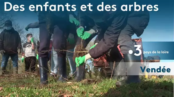 Vendée : des enfants et des arbres