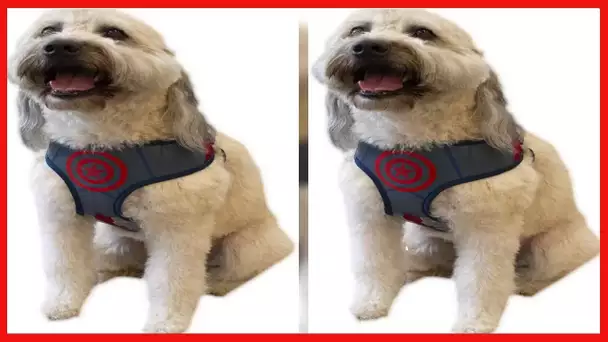 Marvel Comics for Pets Superhero Harness for Dogs, Dog Walking Harness - Marvel Harness for Dogs