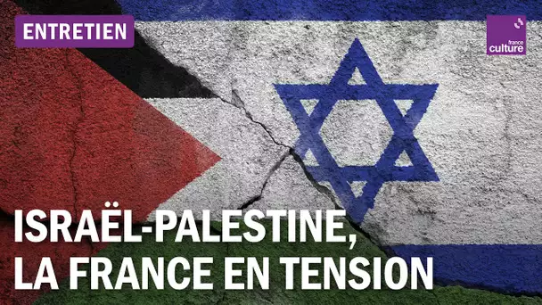 Conflit israélo-palestinien en France : "Nous vivons une profonde rupture avec notre histoire"