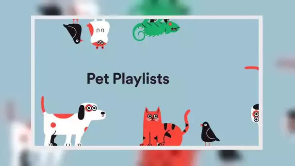 ✅  Spotify lance les playlists pour animaux de compagnie