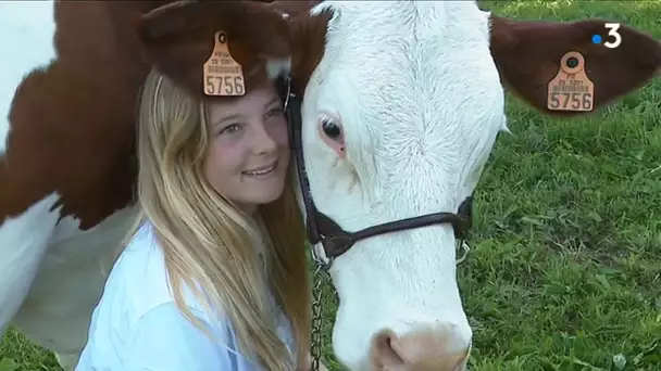 La belle histoire : Manon a apprivoisé sa vache montbéliarde