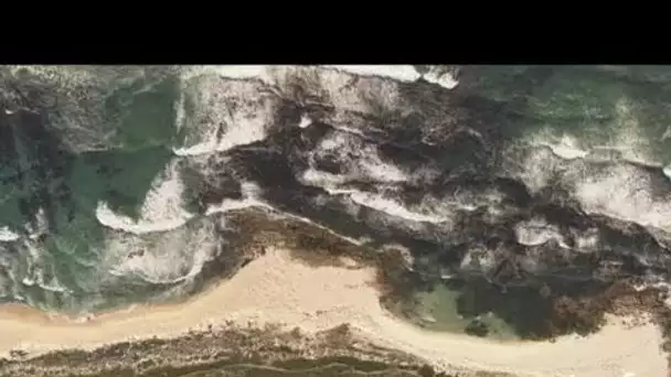 Afrique du Sud : plage déserte de la région du Cap