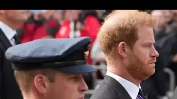 Le prince Harry accusé d'être le «tueur à gages» du prince William plutôt que son «ailier»