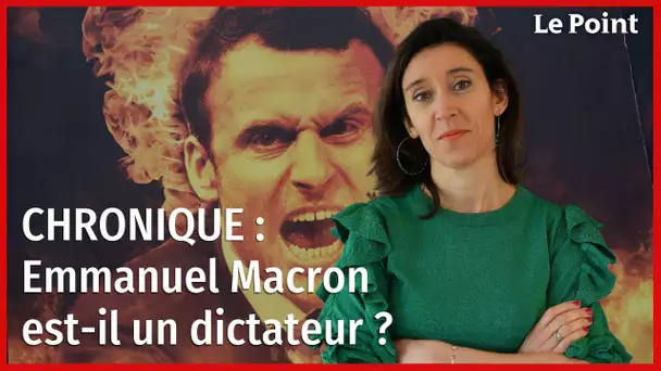 Macron est-il un dictateur avec le 49.3 ? La chronique de Nathalie Schuck