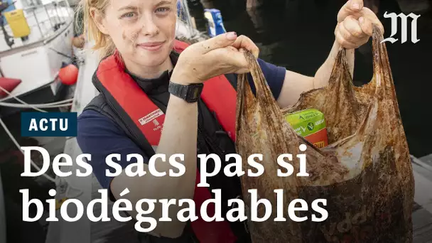Les sacs « biodégradables » le sont-ils vraiment ?