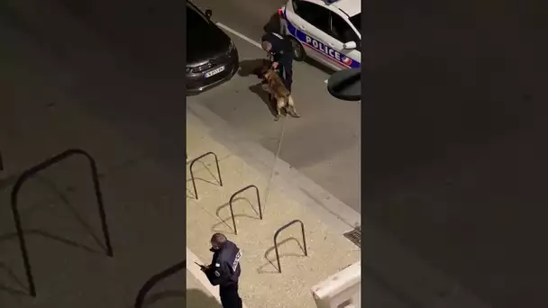Une vidéo tournée à Toulouse laisse penser qu'un policier frappe gratuitement un homme.