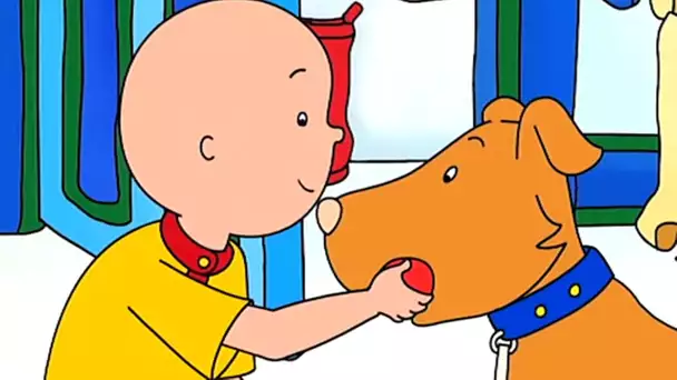 Caillou et le Chien | Caillou en Français