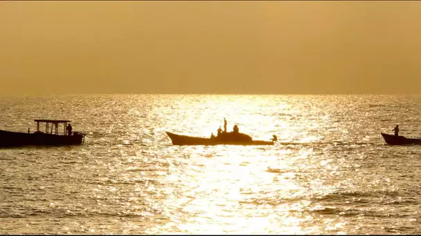 Dans l&#039;ombre du Roi Soleil : à la découverte de Pondichéry