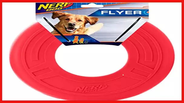 Nerf Dog 10in Atomic Flyer - Orange