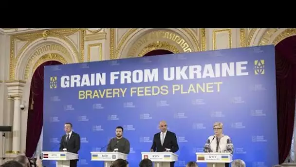"Grain from Ukraine" : des céréales ukrainiennes pour prévenir la famine
