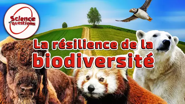 La résilience de la biodiversité - Science En Questions