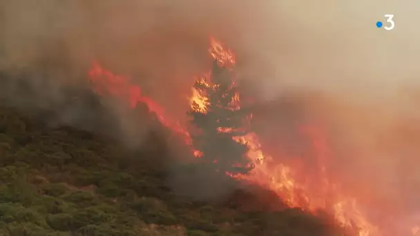 Les pompiers du Gard en exercice de "brûlage dirigé" dans les Cévennes