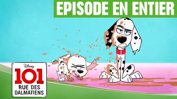 101, rue des Dalmatiens - La boue (épisode 1)