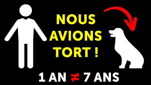 L’année canine ne vaut pas 7 années humaines, et 14 autres idées reçues sur les chiens