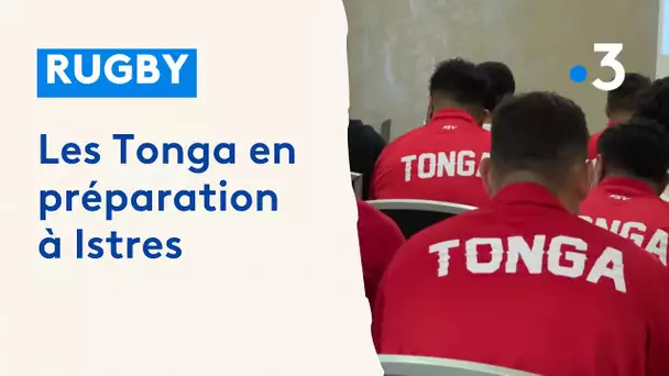Coupe du monde de rugby : les Tonga en préparation à Istres