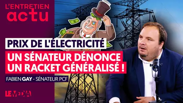 PRIX DE L'ÉLECTRICITÉ : CE SÉNATEUR EXPLIQUE COMMENT LES CAPITALISTES SE GAVENT