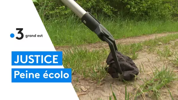 Justice : Un procureur de Nancy lance le stage de citoyennete environenmentale