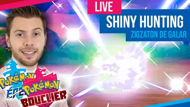Shiny Hunting - Pokémon Epée & Bouclier - Zigzaton de Galar