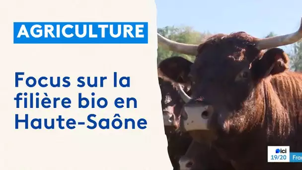 Agriculture bio : portrait d'une exploitation de Haute-Saône et analyse