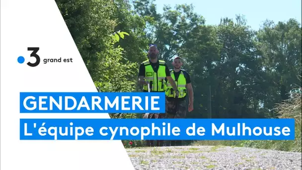 Une équipe cynophile en renfort au peloton de gendarmerie de Mulhouse