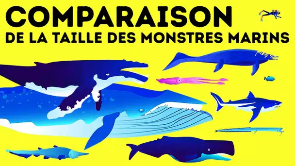 Mégalodon vs Baleine bleue : qui est le géant des mers n°1